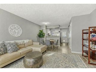 1068 Milo Cir A, Lafayette, CO 80026