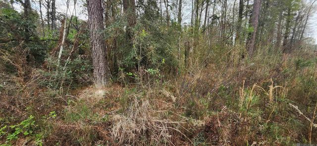 Tract A-6 Reinninger Rd, Denham Springs, LA 70706