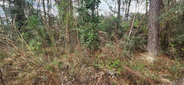 Tract A-6 Reinninger Rd, Denham Springs, LA 70706