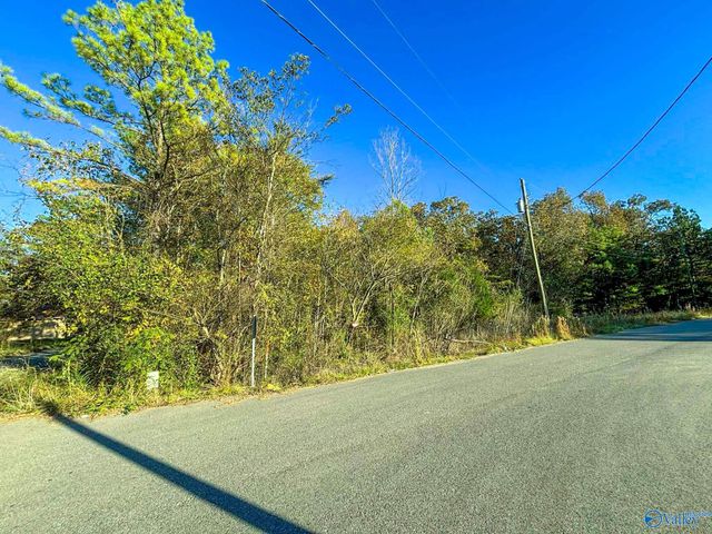 11 SE Wilson Street, Attalla, AL 35954