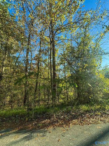 11 SE Wilson Street, Attalla, AL 35954