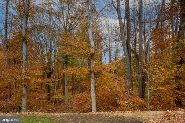 17814 WHITE CAMPION WAY, Dumfries, VA 22026