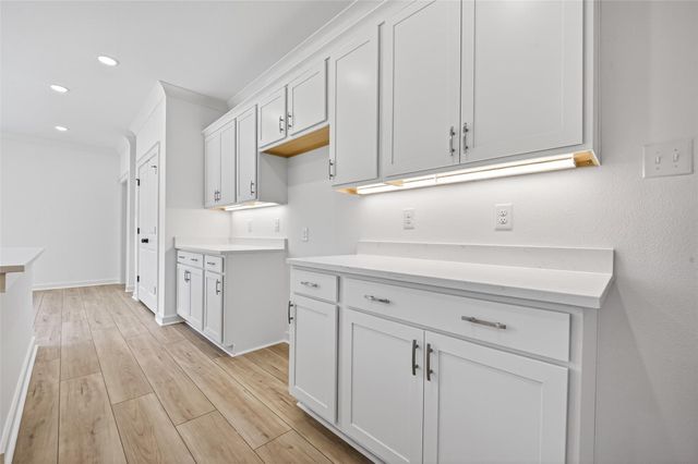 12971 Daniel Springs Lane, Magnolia, TX 77354