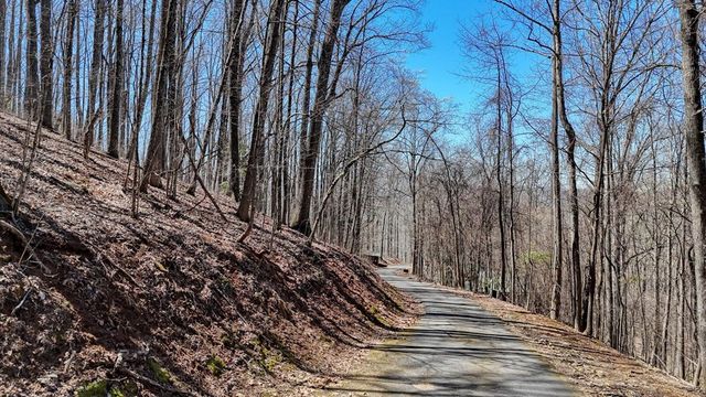 Lot 100 Timberline Acres, Young Harris, GA 30582
