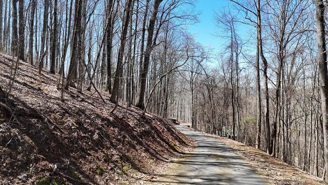 Lot 100 Timberline Acres, Young Harris, GA 30582