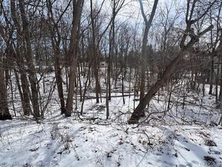 439 Alberta Street Lot 80, Auburn Hills, MI 48326