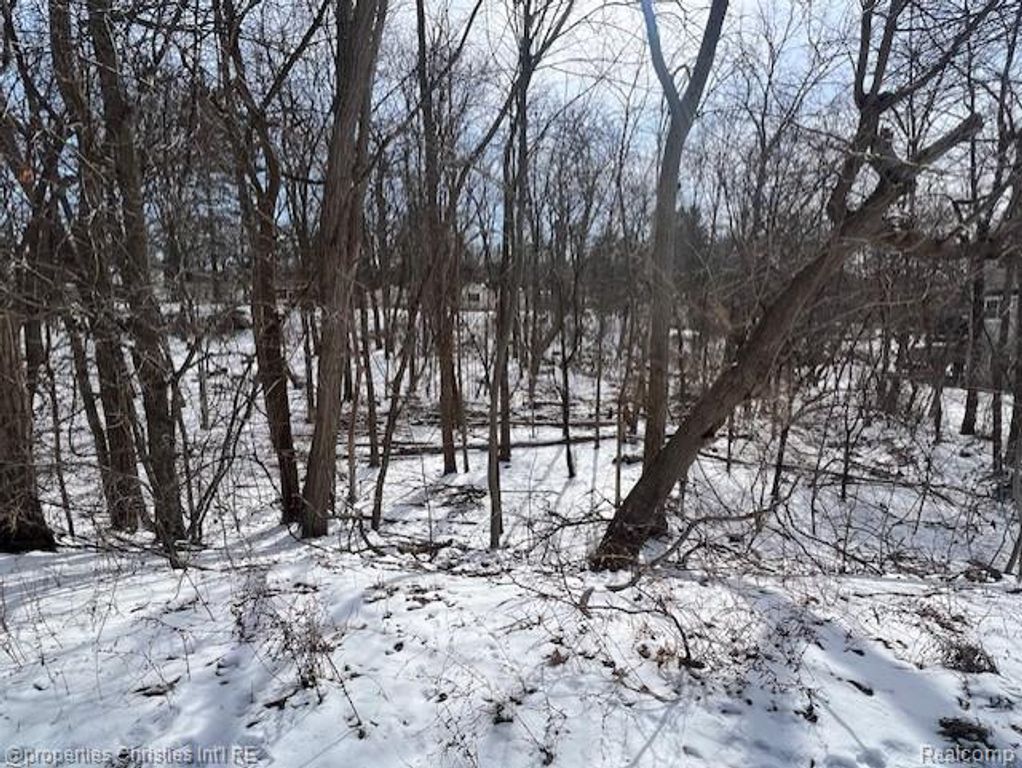 439 Alberta Street Lot 80, Auburn Hills, MI 48326
