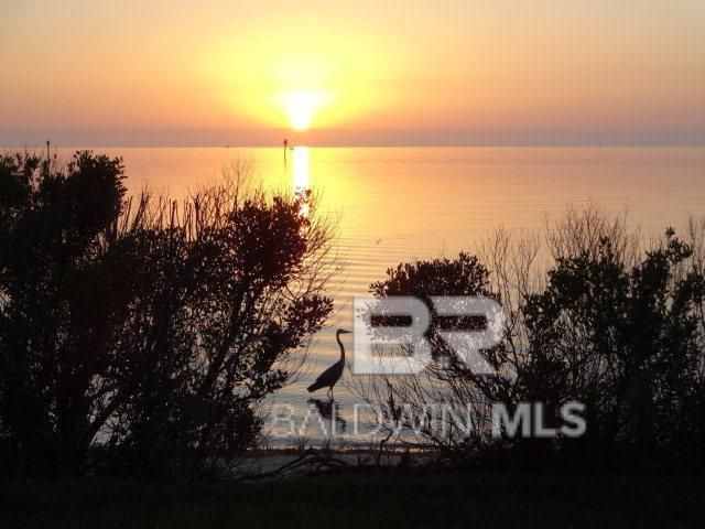 4615 PORT SIDE Lane 203, Gulf Shores, AL 36542