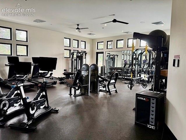 16310 Cattle Creek Court, Monument, CO 80132