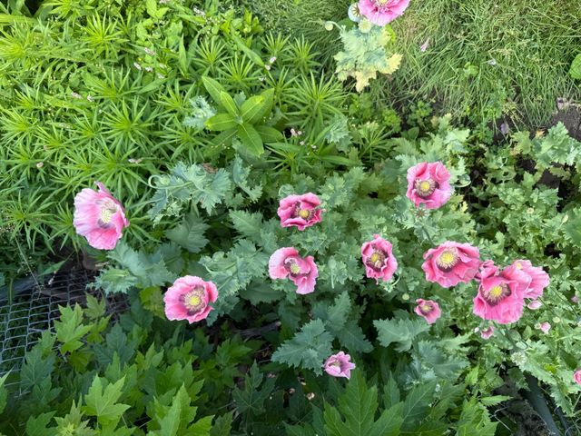 5348 47th Avenue S, Minneapolis, MN 55417