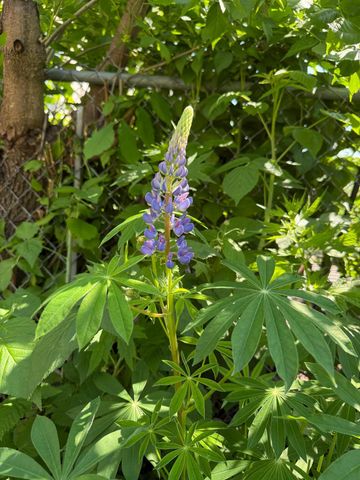 5348 47th Avenue S, Minneapolis, MN 55417