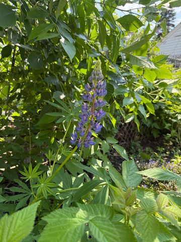 5348 47th Avenue S, Minneapolis, MN 55417