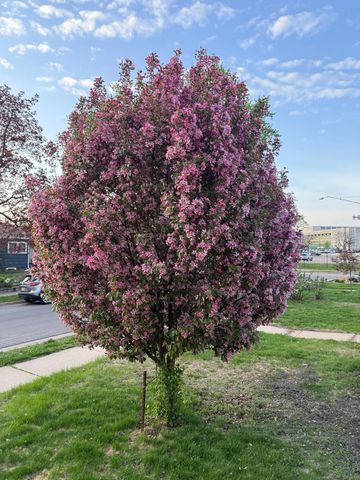 5348 47th Avenue S, Minneapolis, MN 55417