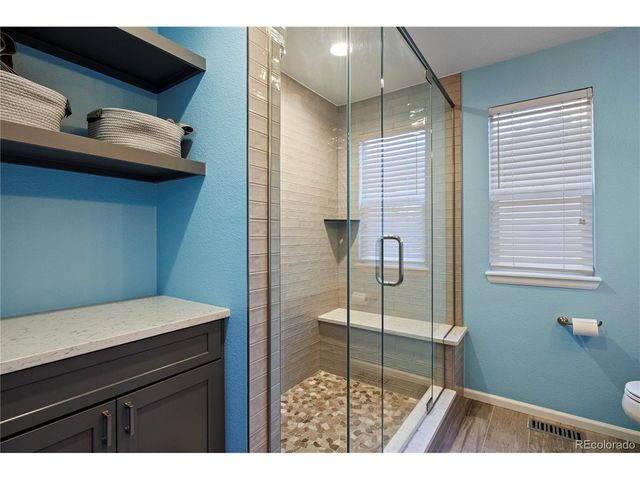 21341 White Ash Ct, Parker, CO 80138