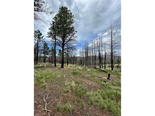 533 Leslie Loop, Fort Garland, CO 81133