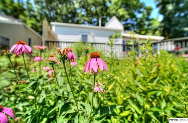 455 N 61 Street, Omaha, NE 68132