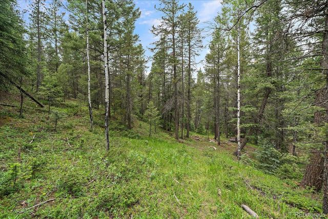 27578 Timber Trail, Conifer, CO 80433