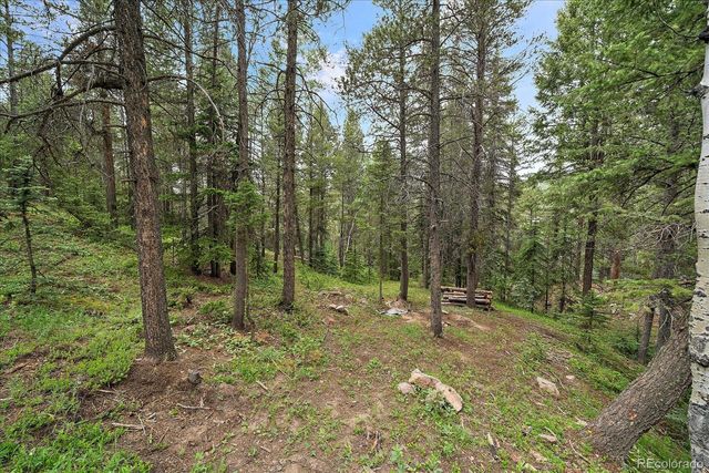 27578 Timber Trail, Conifer, CO 80433
