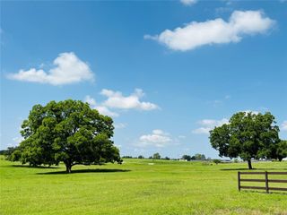 216 Winn Haven - Lot 20, Round Top, TX 78954