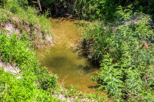 Tbd Fm 2621 Lane, Brenham, TX 77833