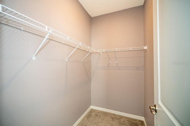 3115 CANOPY OAK BLVD, Wildwood, FL 34785