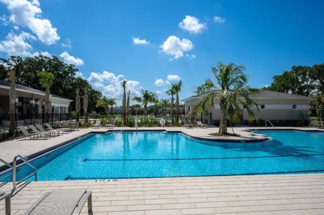 3115 CANOPY OAK BLVD, Wildwood, FL 34785
