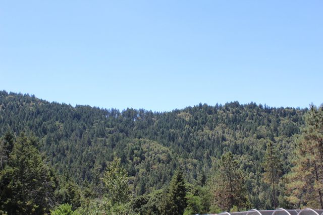 3961 Red Rock Road, Benbow, CA 95542