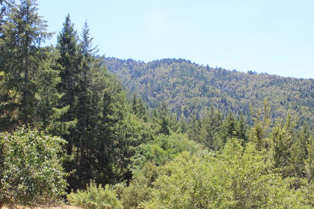 3961 Red Rock Road, Benbow, CA 95542