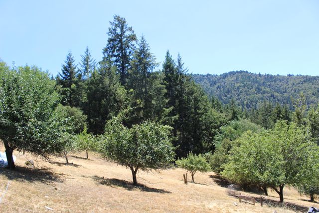 3961 Red Rock Road, Benbow, CA 95542