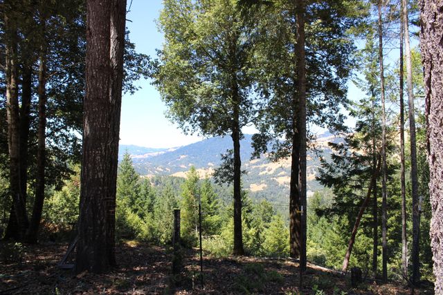 3961 Red Rock Road, Benbow, CA 95542