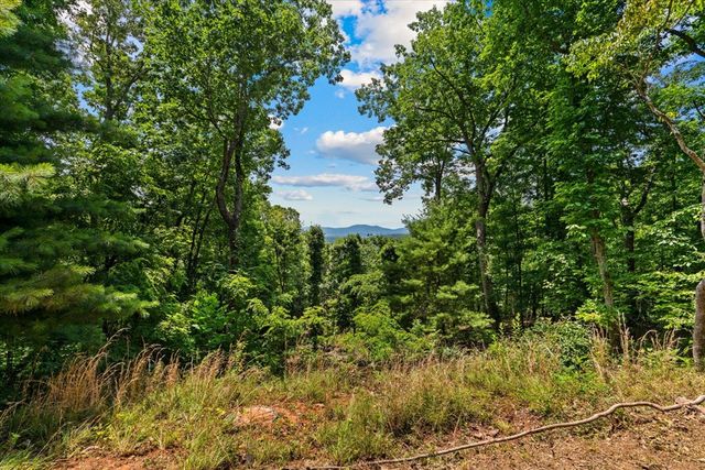 1008 Turkey Trot Drive, Blairsville, GA 30512