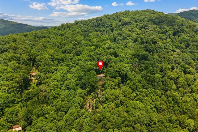 1008 Turkey Trot Drive, Blairsville, GA 30512