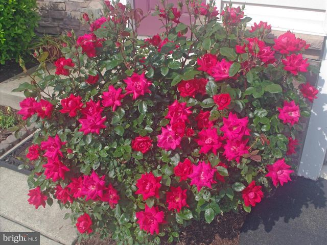 159 BOBBYS BRANCH RD, Millsboro, DE 19966