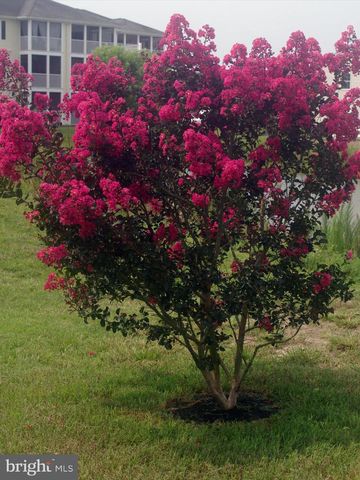 159 BOBBYS BRANCH RD, Millsboro, DE 19966