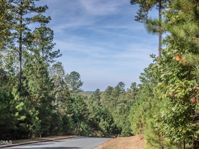 60 Willow Creek Court, Pittsboro, NC 27312