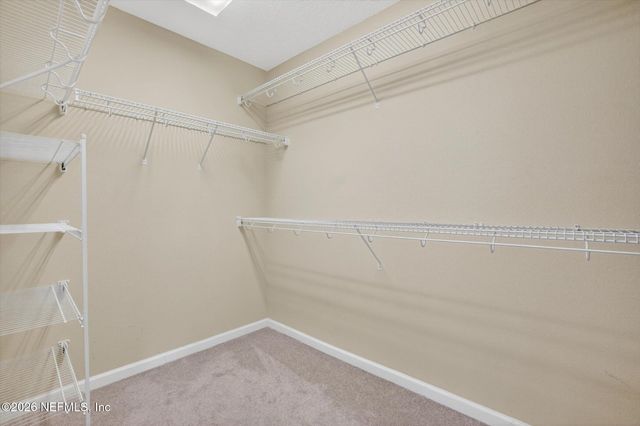 3781 RINGNECK Drive, Jacksonville, FL 32226