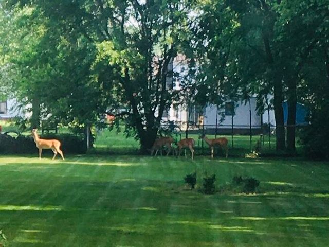 738 E 11th Street, Hobart, IN 46342