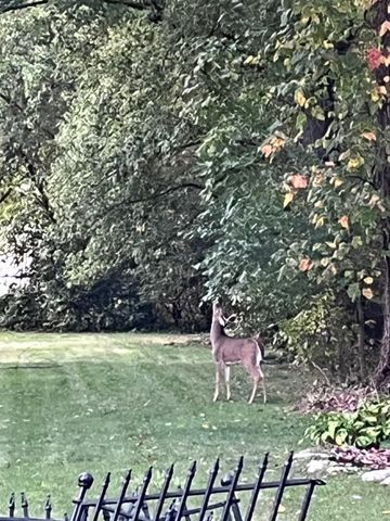 738 E 11th Street, Hobart, IN 46342