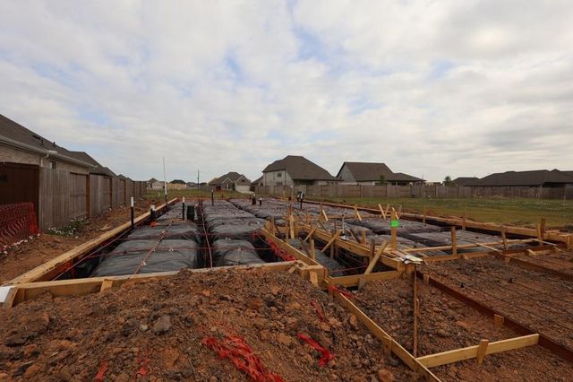 8915 Red Wolf Place, Manvel, TX 77578