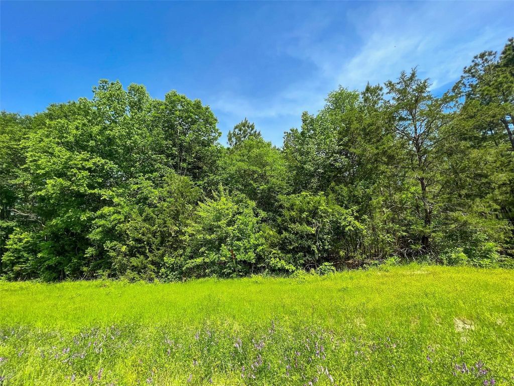 TBD Fm-195 / CR 2456, Clarksville, TX 75426