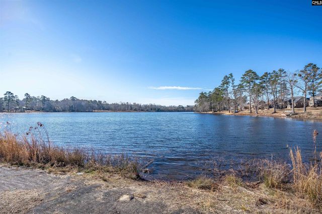 213 GoldenFluke Drive, Lexington, SC 29072