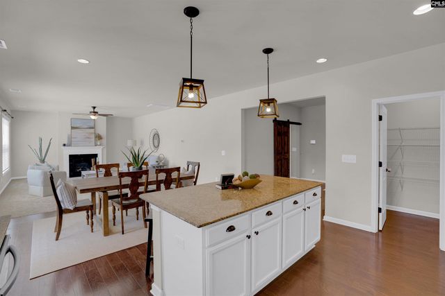 213 GoldenFluke Drive, Lexington, SC 29072