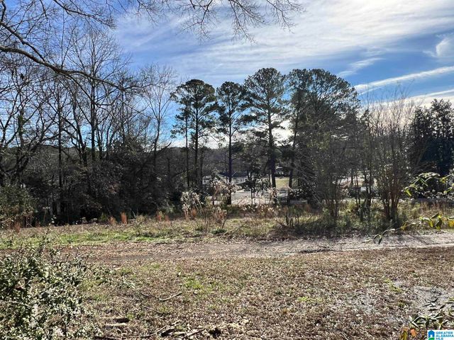 104 OLD HIGHWAY 25 E, Columbiana, AL 35051