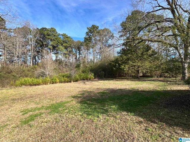 104 OLD HIGHWAY 25 E, Columbiana, AL 35051