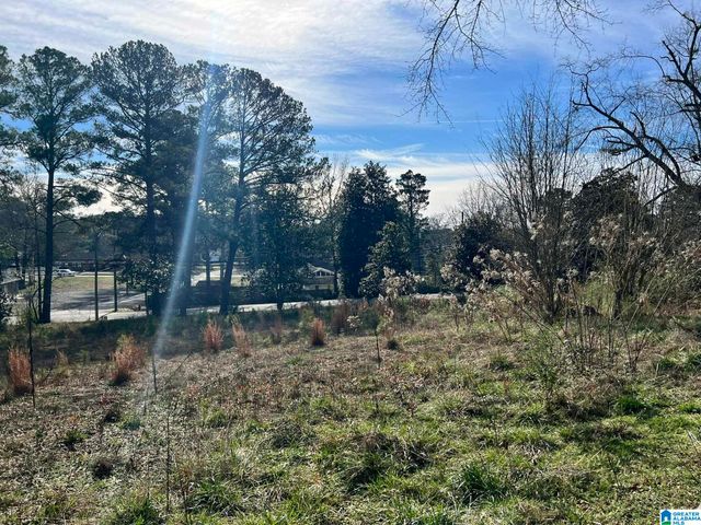 104 OLD HIGHWAY 25 E, Columbiana, AL 35051