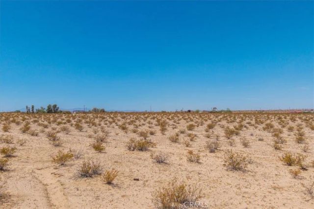 4106 Alfalfa, 29 Palms, CA 92277