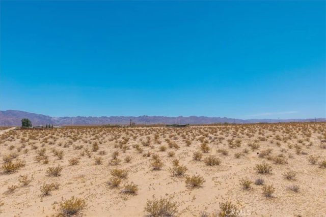 4106 Alfalfa, 29 Palms, CA 92277