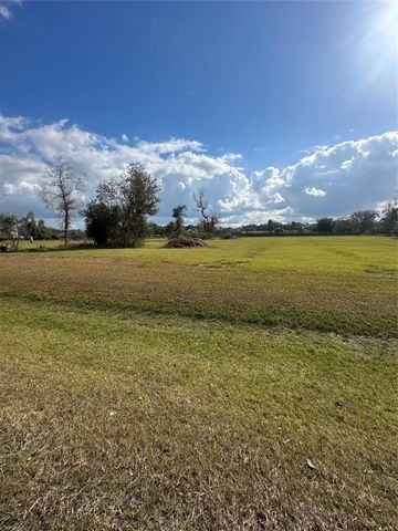 16827 Hamill Drive, Rosharon, TX 77583