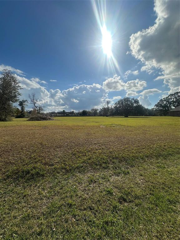 16827 Hamill Drive, Rosharon, TX 77583