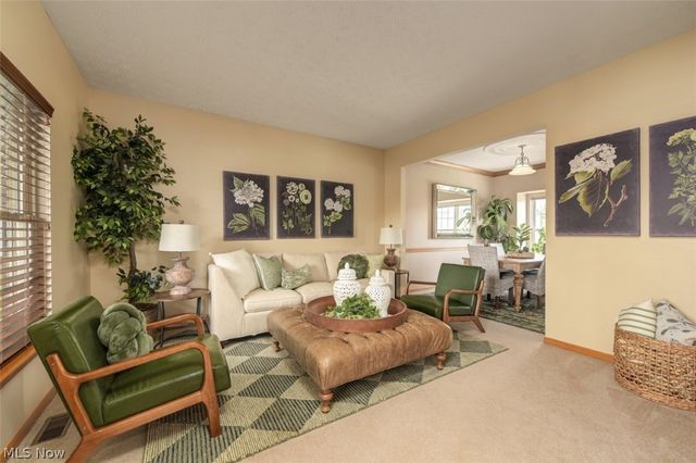 1615 Clemson Drive, Brunswick, OH 44212